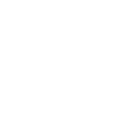PE(S)R Certificate