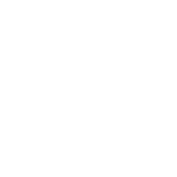 PE(S)R Certificate