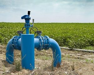 irrigation well for farm